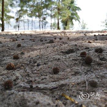 阳江珍珠湾沙滩四间半民宿酒店提供图片