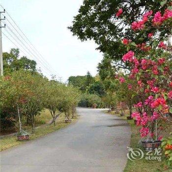 中山非凡酒店公寓酒店提供图片