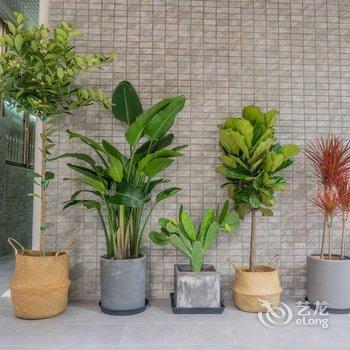 珠海珠海捌月花园公寓酒店提供图片