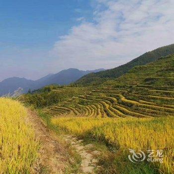 云和坐看云起民宿酒店提供图片