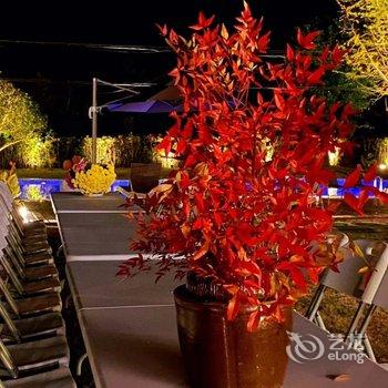 天目山月亮玖号民宿酒店提供图片