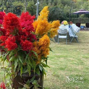 天目山月亮玖号民宿酒店提供图片