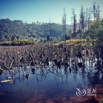 普洱普西纳客栈酒店提供图片