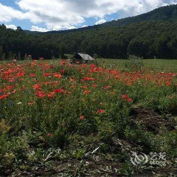 那拉提山水聚度假山庄酒店提供图片