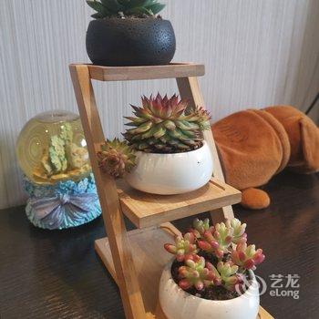 乌鲁木齐浪漫暖屋公寓酒店提供图片