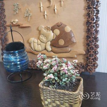 乌鲁木齐浪漫暖屋公寓酒店提供图片