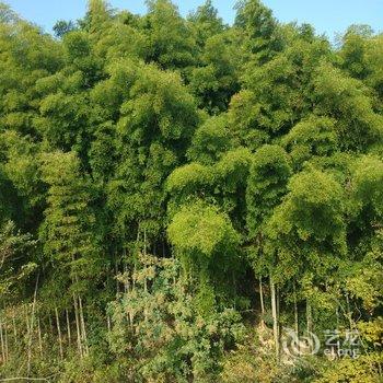 溧阳诚祥客栈酒店提供图片