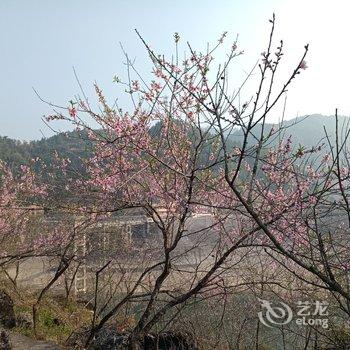 清远桃花湖民宿湖景轩酒店提供图片