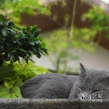 湖州安吉灵峰朝花夕舍名宿客栈酒店提供图片