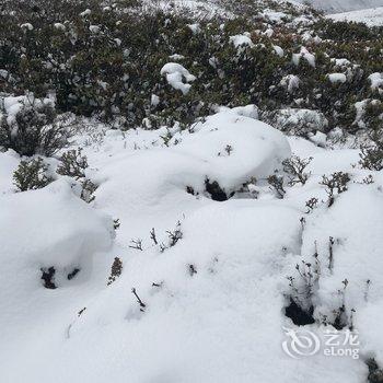 甘孜梦旅人自助民宿酒店提供图片