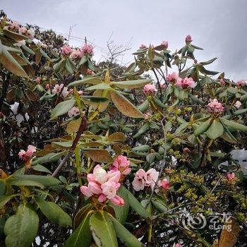 甘孜梦旅人自助民宿酒店提供图片