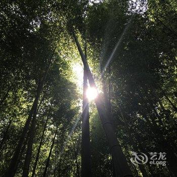 绩溪民间宿客·三味书屋民宿酒店提供图片