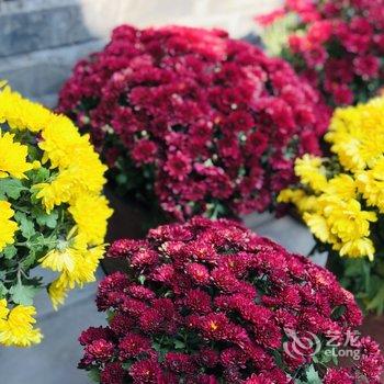 大同张靖敏特色民宿酒店提供图片