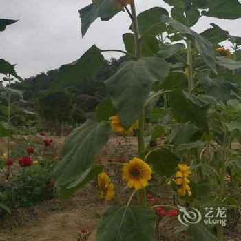 肇庆伍富荣特色民宿酒店提供图片