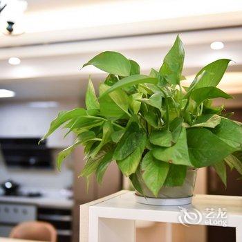 河源晴姐公寓酒店提供图片
