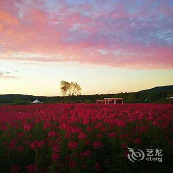 盘锦吴玉英民宿酒店提供图片