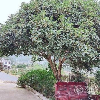 韶山聆韶小居民宿酒店提供图片