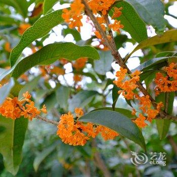 韶山聆韶小居民宿酒店提供图片