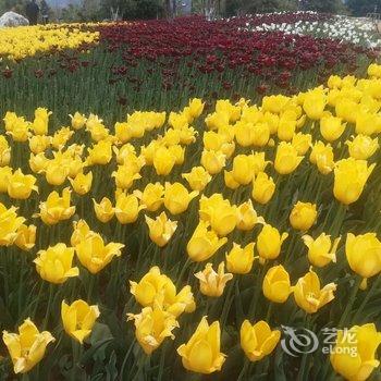 凉山晓玲公寓酒店提供图片