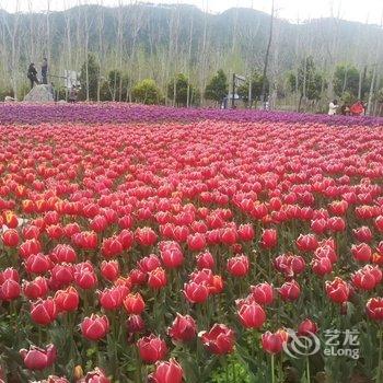 凉山晓玲公寓酒店提供图片