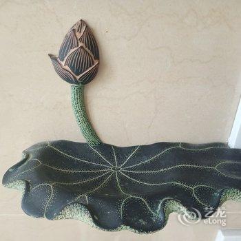 扬州扬州万达小荷之家公寓酒店提供图片