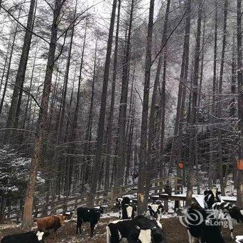 黑水山间画里客栈酒店提供图片