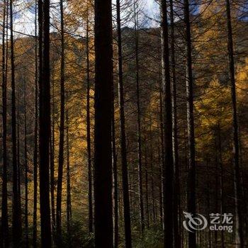 黑水山间画里客栈酒店提供图片