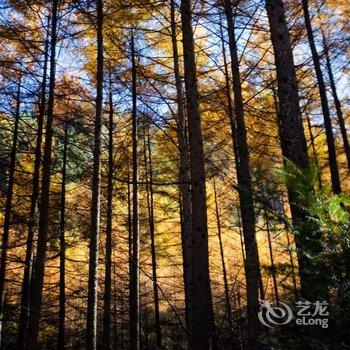 黑水山间画里客栈酒店提供图片