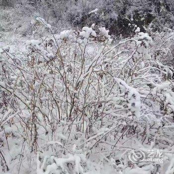 雪乡林韵山居客栈酒店提供图片