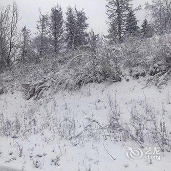 雪乡林韵山居客栈酒店提供图片