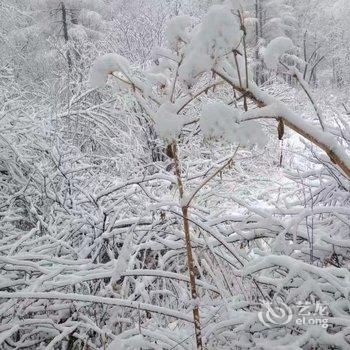 雪乡林韵山居客栈酒店提供图片