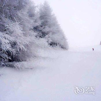 张家口雪镇精品民宿酒店提供图片