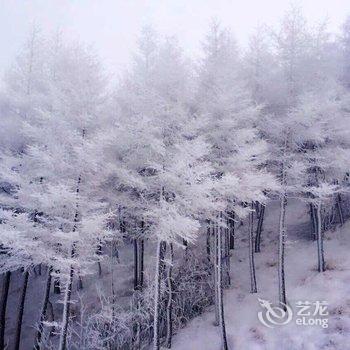 张家口雪镇精品民宿酒店提供图片