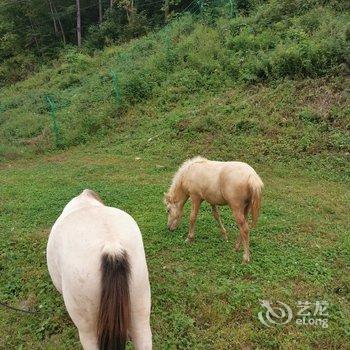 通化大明牧场民宿酒店提供图片