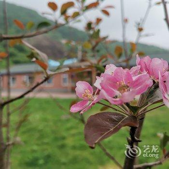 通化大明牧场民宿酒店提供图片