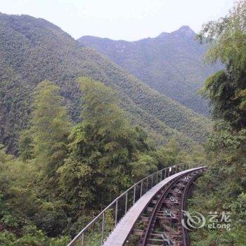 南山竹海一巷一木民宿酒店提供图片