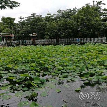 乐东爱莲居木屋民宿酒店提供图片