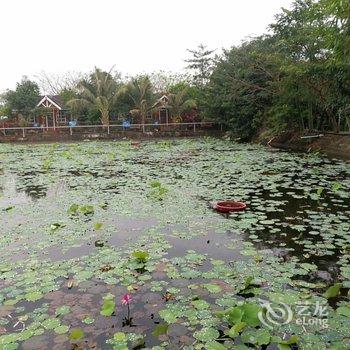 乐东爱莲居木屋民宿酒店提供图片