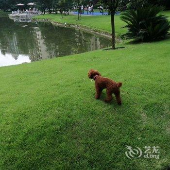 自贡兰听雨露公寓酒店提供图片