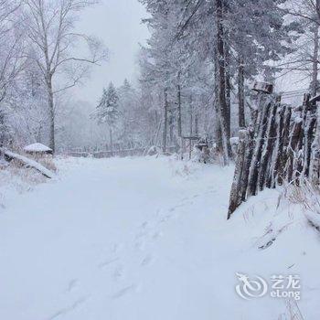 雪乡林家梅园民宿酒店提供图片