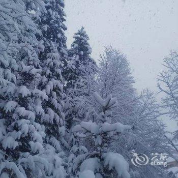 雪乡林家梅园民宿酒店提供图片