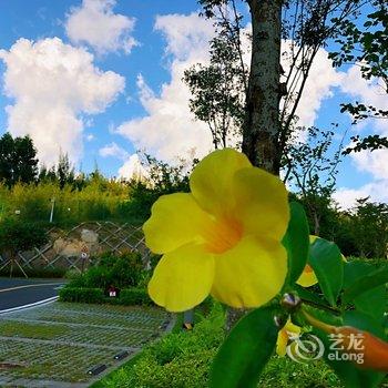 悠然民宿(文昌2号店)酒店提供图片