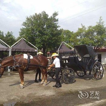 清远陈小谷美墅度假别墅(大家元摩天轮分店)酒店提供图片