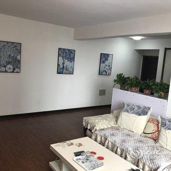 衡水喜达屋公寓(新华西路分店)酒店提供图片