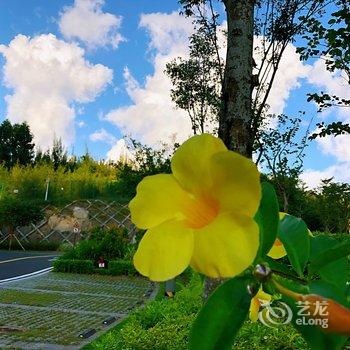 铜鼓岭欣欣一个山东女生民宿(文昌4号店)酒店提供图片