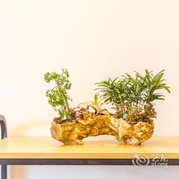 海口九二的英子公寓酒店提供图片