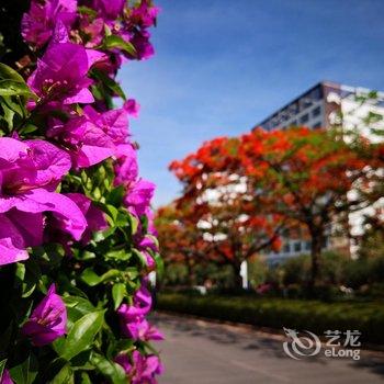 普洱茶宿民宿酒店提供图片