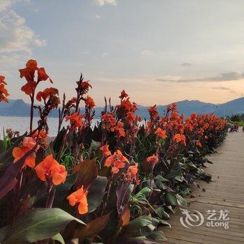 玉溪抚仙湖海豚湾化石博物馆湖景房公寓酒店提供图片