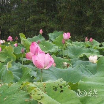 韶关丹霞山牛鼻村艺创基地特色民宿(2号店)酒店提供图片