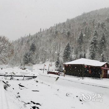 雪乡喜雪·旅行民宿酒店提供图片